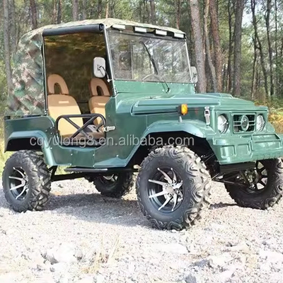 300CC 4-Rad-UTVs Gas 2-Sitzer UTV 4x4 Buggy Auto Moto Quad-Bike Offroad Fahrzeug 4x4 ATV für Erwachsene