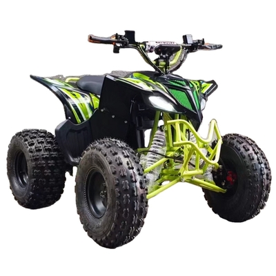 Heißes 750w 1000w Elektro-Moto Buggy-Auto für Kinder und Erwachsene 60v 4x4 Quad Seite an Seite