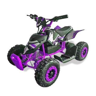800W-1000W Elektro Mountainbike ATV 36V 500W Off-Road Buggy für Kinder und Erwachsene