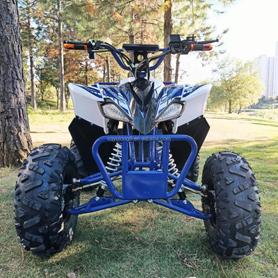 500-800W 60V Wellenantrieb Sport 4 Räder ATV Elektro Quad Bike für Kinder Erwachsene