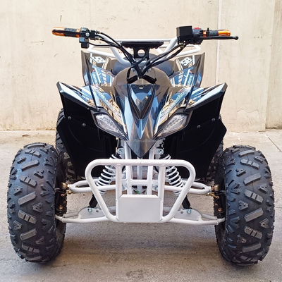 500-800W 60V Wellenantrieb Sport 4 Räder ATV Elektro Quad Bike für Kinder Erwachsene