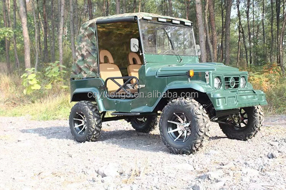2 Sitzplätze für Erwachsene 200cc 300cc Schachtgetriebesystem 2WD Vierräder Buggy Auto UTV 4x4 Jeeps