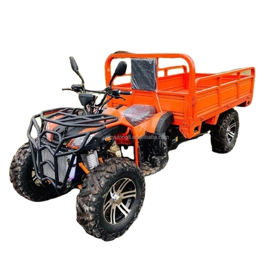 800 1000W 2 Zylinder wassergekühlter ATV 250CC 4X4 Off-Road Buggy mit Frachtbehältern