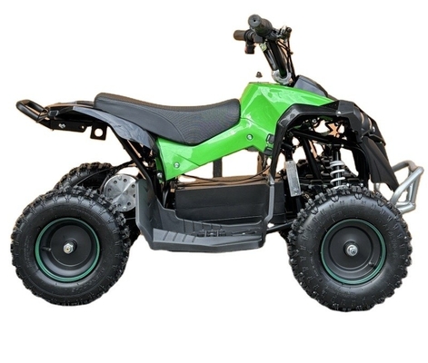 Elektrische ATV 36V 800W 48V 1000W Buggy Quad Bike für Kinder und Erwachsene