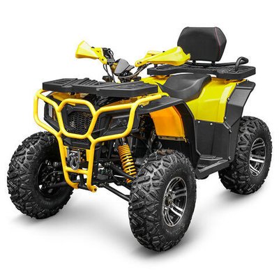 250cc Benzin ATV Quad Bike Buggy UTV 200cc Off-Road Motorrad mit leistungsstarkem Motor