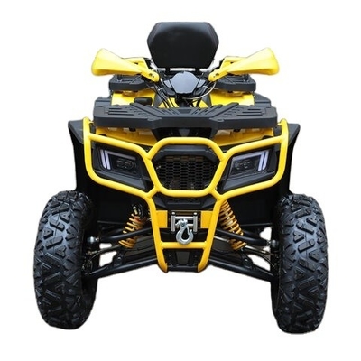250cc Benzin ATV Quad Bike Buggy UTV 200cc Off-Road Motorrad mit leistungsstarkem Motor