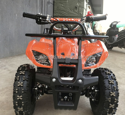 Little Bull 500W 36V Elektro-ATV für Kinder Miete auf Off-Road Safari Abenteuer