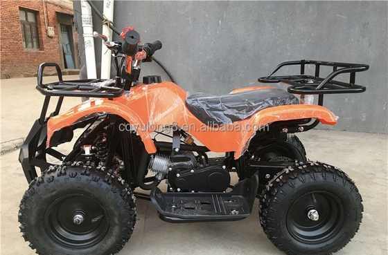 Little Bull 500W 36V Elektro-ATV für Kinder Miete auf Off-Road Safari Abenteuer