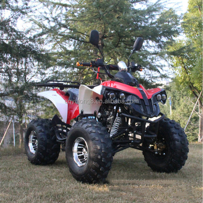 Anpassbares All-Terrain-Fahrzeug für Erwachsene mit natürlicher Luftkühlung