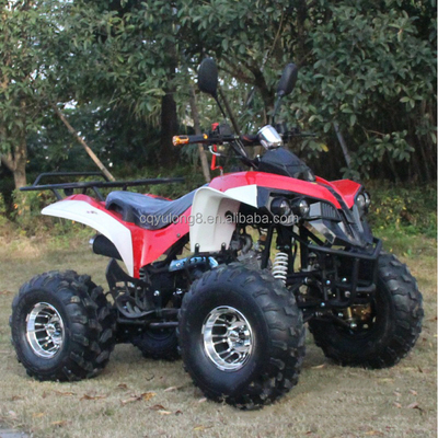Anpassbares All-Terrain-Fahrzeug für Erwachsene mit natürlicher Luftkühlung
