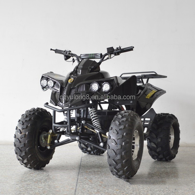 1000 Watt elektrisches ATV mit Schachtgetriebe und Fronttrommel-Rücktrommelbremssystem
