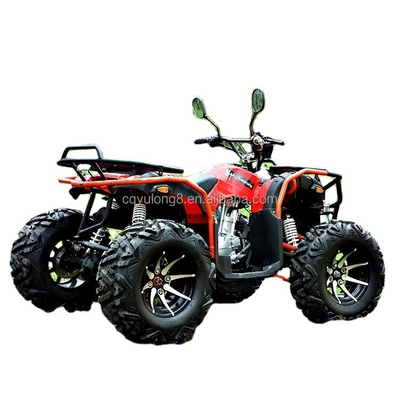 Personalisieren Sie Ihre Fahrt Big Bull 300cc 4*4 Erwachsener Off-Road ATV mit 300mm Bodenfreiheit