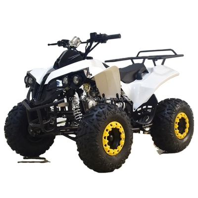 49cc 50cc 125cc Gasbetriebenes Mini Quad Bike ATV für Kinder oder Erwachsene Radstand 1000-1400mm