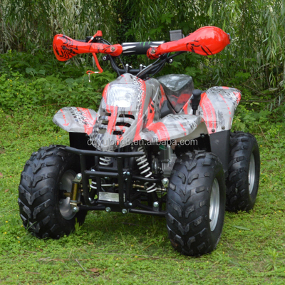 110cc Ketten drehbare Vierräder ATV Maximaldrehmoment Nm 20-40Nm Fahrleistung 50-70km
