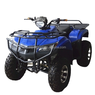 Elektrische ATV für Erwachsene 2-Sitzer Bergsteiger 200cc 250cc 150cc Geländefahrzeug