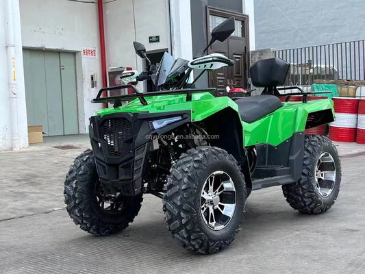 Kettenantrieb 300cc Outdoor Sport Spiel Elektro Quad Bike Erwachsener ATV 4x4