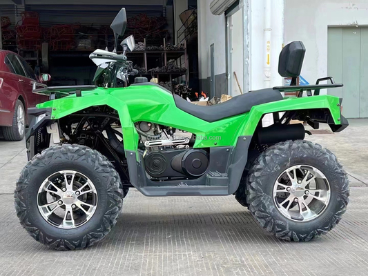 Kettenantrieb 300cc Outdoor Sport Spiel Elektro Quad Bike Erwachsener ATV 4x4